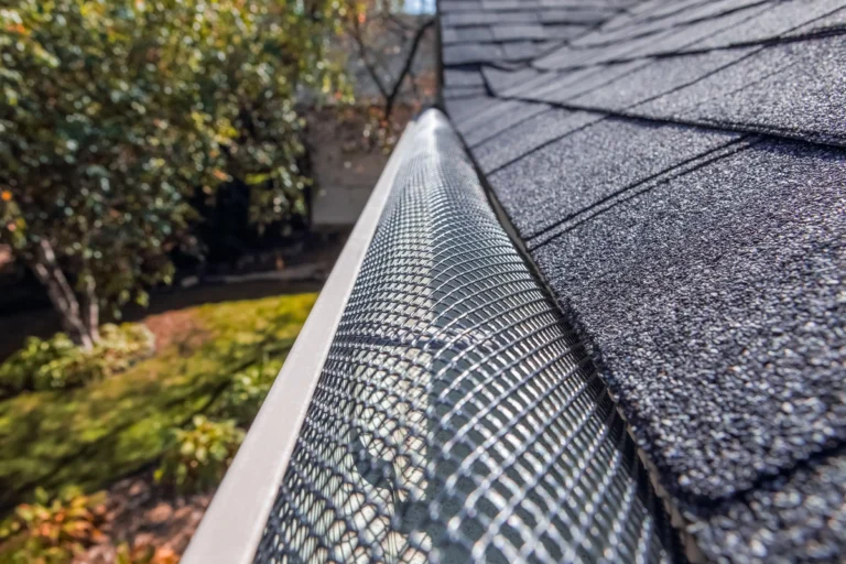 gutter guards roof